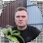 Фикус