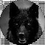 Black Wolf