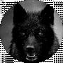 Black Wolf