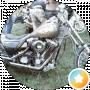 Faza Bf