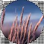 Айгерим К