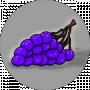 grona_vinograda