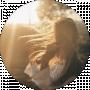 Hanna H