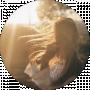 Hanna H