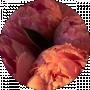 Вероника Кулеш
