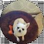 Tata