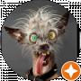 Сергей Юр