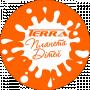 terra kids