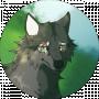 Black Wolf