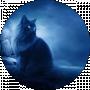 Black Cat
