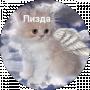 Яша Рибкин