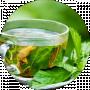 tea Green