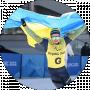 Александр Мукшин