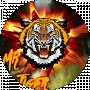 MrTiger551 Пономарьов Богдан