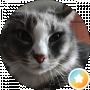 Максим Пелин