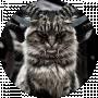 Cold Furry