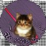 Florey ツ