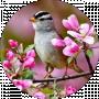 Love F