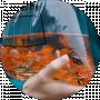Tanya Paliy
