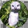 Toha Boyun