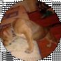 ELECTRO xxx