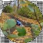 Інна КРАВЧЕНКО