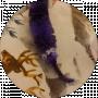 purple Black