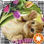 Анна София