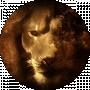 Lion TopMusik