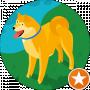 Roman
