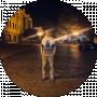 Владислав Тригуб