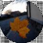 АНДРІАНА КРІЛЬ