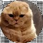 Sergey S