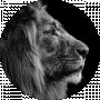 Domen