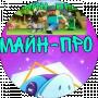 игрок про
