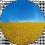 Сергей К