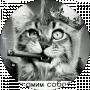 Константин Соболь