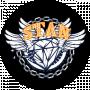 TheStanTM