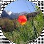 Quiverin Orbis