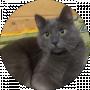 Lena Zubal