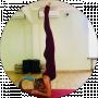 Svetmoon Yoga