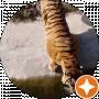 Олександр