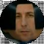 Дмирий Швец