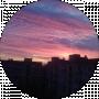 Krasuny 75