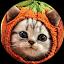 Танюшка Котик