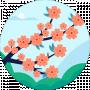 Анастасія Шевченко