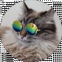 Volodymyr Holodynskyi