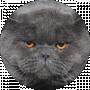 Artem