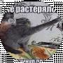 Александер Погуляка