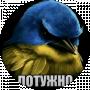 Олена Шевченко